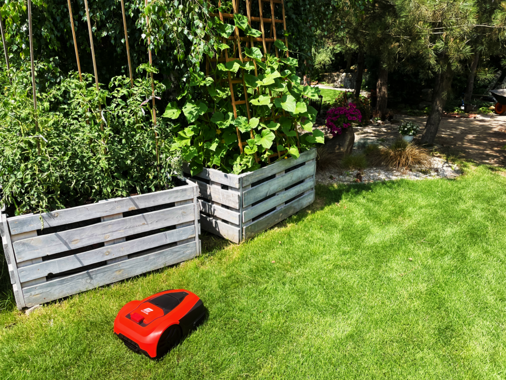 Robot koszący GardenMe - przy grządkach