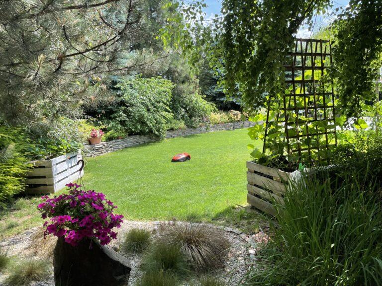 Jak działa robot koszący