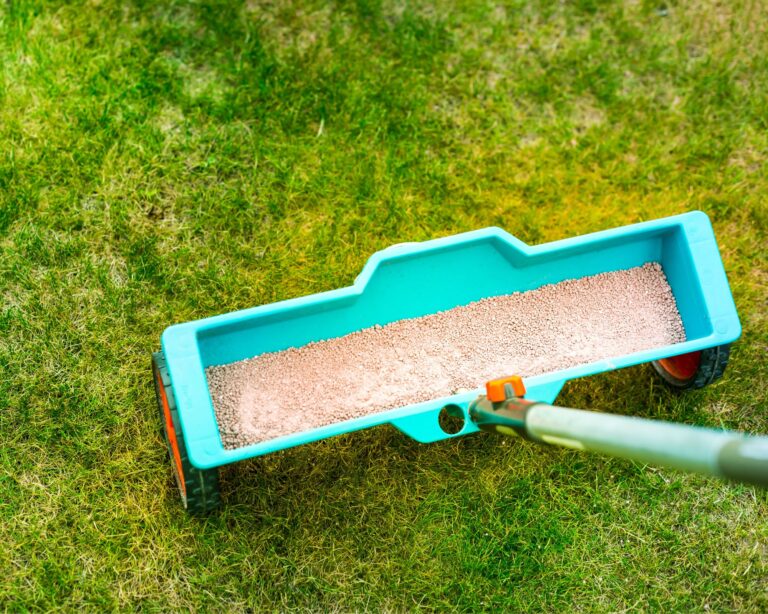 Wiosenne nawożenie trawnika