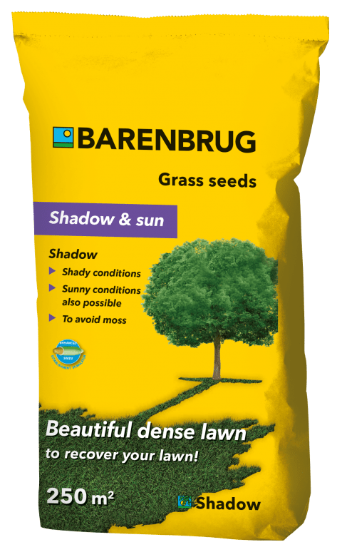 Barenbrug Shadow & sun