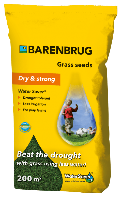 Barenbrug Dry & strong